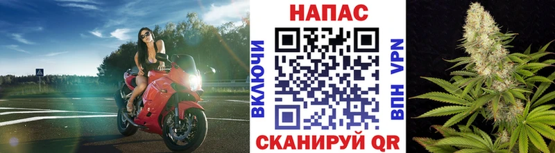 Канабис план  Купить где  Ряжск 